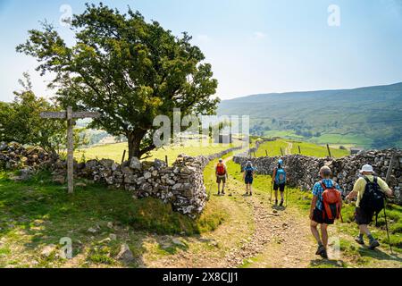 Eine Gruppe gemischter Wanderer wandert auf einem alten Weg in Upper Swaledale zwischen Keld und Muker entlang eines Teils des Pennine Way, England Stockfoto