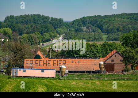 Bauernhof bei Xanten, verkauft frische Eier vom Bauernhof, Hofladen, Höhnshof, Werbung auf dem roten Schindeldach, NRW, Deutschland, Stockfoto