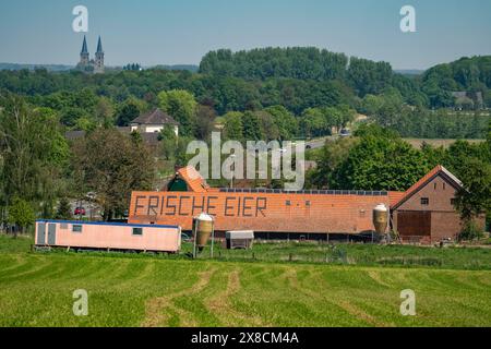 Bauernhof bei Xanten, verkauft frische Eier vom Bauernhof, Hofladen, Höhnshof, Werbung auf dem roten Schindeldach, Dom von Xanten, NRW, Deutschland, Stockfoto