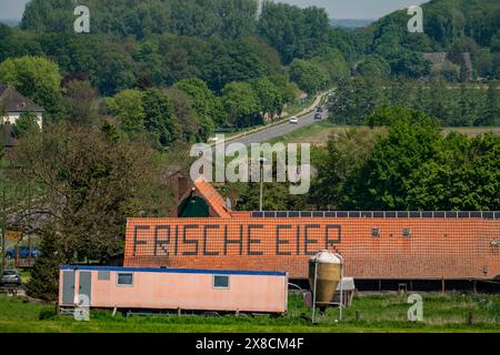 Bauernhof bei Xanten, verkauft frische Eier vom Bauernhof, Hofladen, Höhnshof, Werbung auf dem roten Schindeldach, NRW, Deutschland, Stockfoto