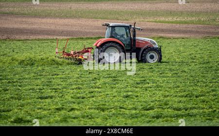 Traktor, Grasmähen, Gras wenden, bei Issum, Niederrhein, NRW, Deutschland, Stockfoto