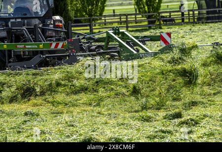 Traktor, Grasmähen, Gras wenden, bei Issum, Niederrhein, NRW, Deutschland, Stockfoto