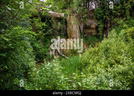 Quelle und Bachbecken von Bisbal im Marganell (Bages, Barcelona, Katalonien, Spanien) ESP: Fuente y poza del Bisbal, en la rambla de Marganell Stockfoto