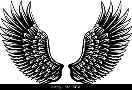 Angel Eagle Wings Feather Wing Set Illustration Stock Vektor