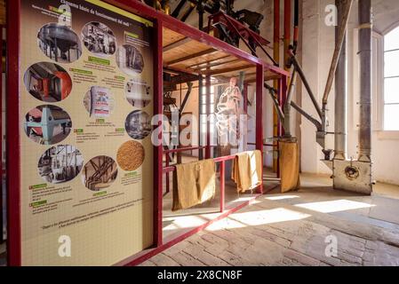 Das Innere des Museums für Reismuseum in Camarles (Tarragona, Katalonien, Spanien) ESP Interior del museo Centro de Interpretación del Arroz Stockfoto