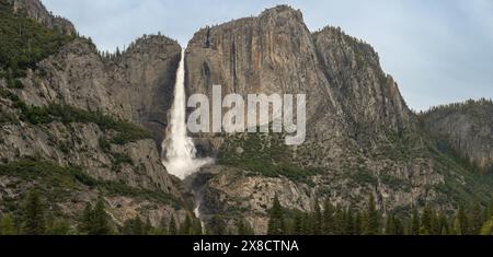 Der dicke Wasserfluss im oberen Yosemite fällt nach dem Hochschneejahr ins Tal Stockfoto