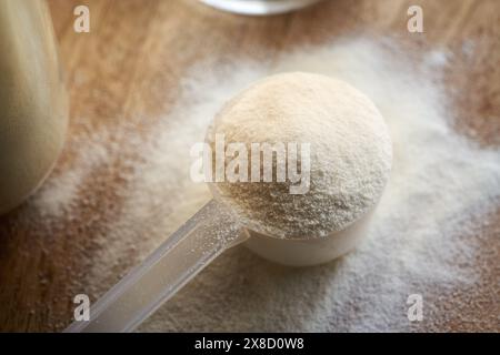 Kollagenpulver in einem Plastik-Messlöffel auf einem Tisch, Nahaufnahme Stockfoto