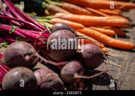 Rote Bete und Karotten wurden auf einem Marktstand verteilt Stockfoto