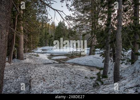 Ein kleiner Fluss, der von Schnee gespeist wird, schmilzt im Frühjahr im Lassen Volcanic National Park in Kalifornien. Stockfoto