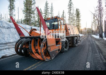 Ein robuster Schneeräumwagen, der im Winter und bei schneereichen Eisbedingungen in einem kalifornischen Nationalpark für das Freiräumen von Straßen verwendet wird. Stockfoto