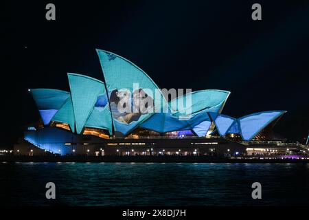 Sydney, Australien. Mai 2024. Lighting of the Sails: Echo (2024) der australischen Künstlerin Julia Gutman and Pleasant Company wird auf das Segel des Sydney Opera House projiziert, das sich während der Vivid Sydney 2024 am Bennelong Point in Sydney befindet. Vivid Sydney ist eine jährliche Veranstaltung, bei der Kreativität, Innovation und Technologie gefeiert werden. Die Veranstaltung wird durch Lichtskulpturen, multimediale interaktive Arbeiten und Lichtprojektionen auf großen Gebäuden rund um Sydney hervorgehoben. Die diesjährige Feier dauert ab dem 24.. Bis 15. Mai. Juni 2024. Quelle: SOPA Images Limited/Alamy Live News Stockfoto