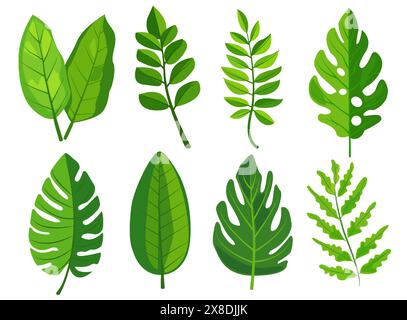 Es gibt acht verschiedene Arten von grünen Blättern, jedes mit unterschiedlichen Formen und Venenmustern. Das vielfältige Laub zeigt verschiedene botanische Designs Stock Vektor