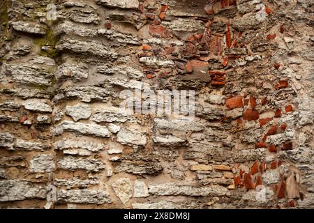 Eine Nahaufnahme einer Grundsteinformation mit braunen Holzstämmen und Landpflanzen, die als Bodendecke wachsen und ein Grasmuster auf dem Felsen erzeugen. Stockfoto