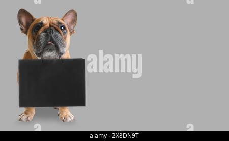 Niedlicher Hund mit Einkaufstasche auf hellgrauem Hintergrund, Platz für Text. Bannerdesign Stockfoto