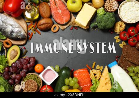 Immunsystem Boosting mit richtiger Ernährung. Verschiedene Speisen auf schwarzem Tisch, flach Stockfoto