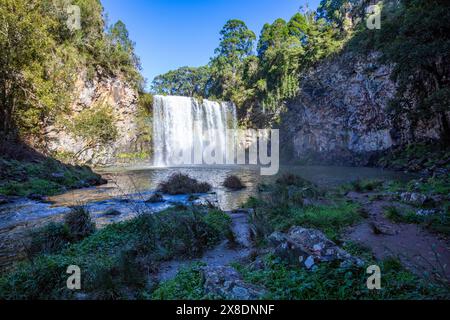 Der Wasserfall Dangar Falls, ein 30 Meter hoher Wasserfall in Dorrigo, New England Region in New South Wales, Australien, Herbst 2024 Stockfoto