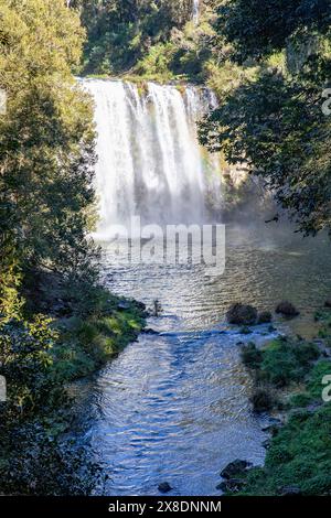 Dangar Falls Wasserfall in der Nähe von Dorrigo am Waterfall Way im regionalen New South Wales, Australien, Herbst 2024 Stockfoto