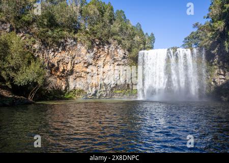 Dangar Falls Wasserfall in der Nähe von Dorrigo am Waterfall Way im regionalen New South Wales, Australien, Herbst 2024 Stockfoto