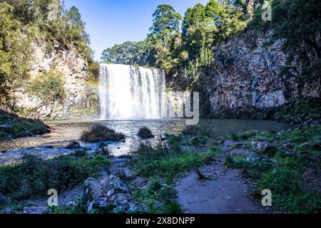 Dangar Falls Wasserfall in der Nähe von Dorrigo am Waterfall Way im regionalen New South Wales, Australien, Herbst 2024 Stockfoto