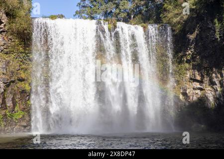 Der Wasserfall Dangar Falls, ein 30 Meter hoher Wasserfall in Dorrigo, New England Region in New South Wales, Australien, Herbst 2024 Stockfoto