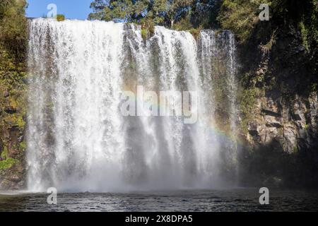 Der Wasserfall Dangar Falls, ein 30 Meter hoher Wasserfall in Dorrigo, New England Region in New South Wales, Australien, Herbst 2024 Stockfoto