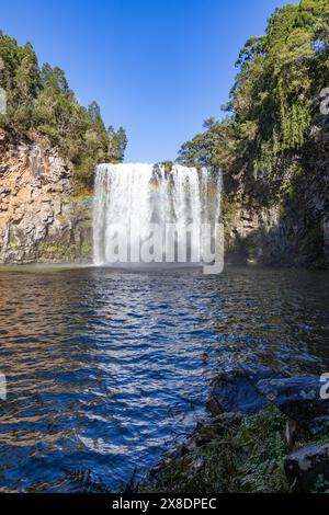 Dangar Falls Wasserfall in der Nähe von Dorrigo am Waterfall Way im regionalen New South Wales, Australien, Herbst 2024 Stockfoto