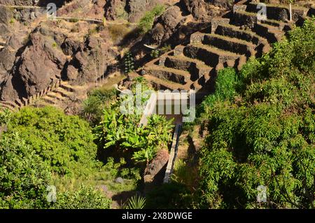 Nachhaltige Landwirtschaft in Trockengebieten: Santo Antao, Cabo Verde Stockfoto