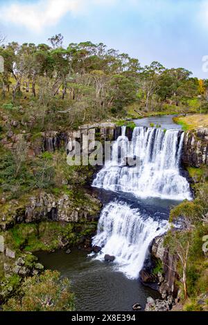 Ebor Falls Wasserfall im Guy Fawkes Nationalpark am Waterfall Way in New England Region in New South Wales, Australien, Herbst 2024 Stockfoto