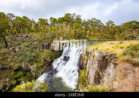 Ebor Falls Wasserfall im Guy Fawkes Nationalpark am Waterfall Way in New England Region in New South Wales, Australien, Herbst 2024 Stockfoto