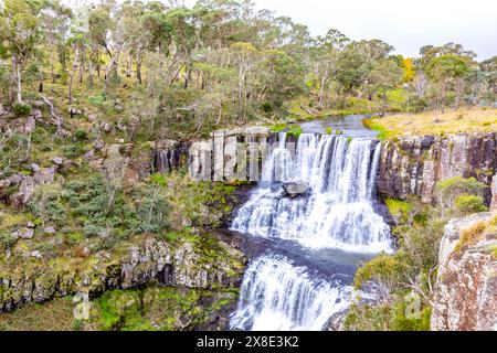 Ebor Falls Wasserfall im Guy Fawkes Nationalpark am Waterfall Way in New England Region in New South Wales, Australien, Herbst 2024 Stockfoto