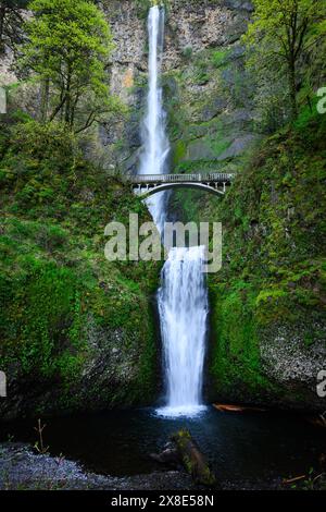 Iconc Double Drop am Multnomah Falls Wasserfall in der Columbia Gorge im Frühjahr Stockfoto