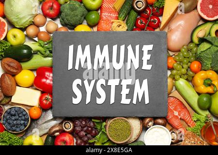 Immunsystem Boosting mit richtiger Ernährung. Verschiedene Lebensmittel und Schieferplatte, flache Lagen Stockfoto