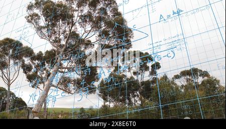 Darstellung mathematischer Gleichungen über Bäumen Stockfoto