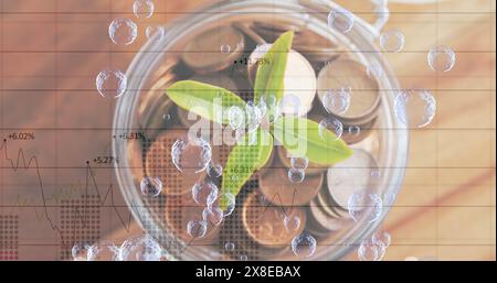 Junge Pflanze, die aus Münzen im Glas wächst, finanzielles Wachstumskonzept Stockfoto