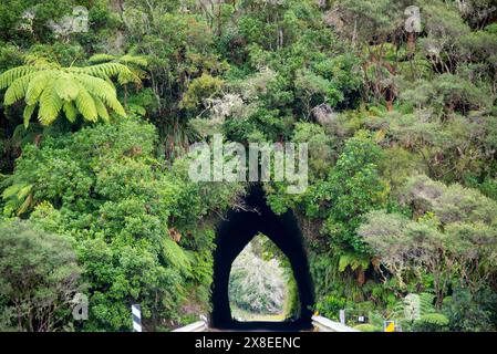 Okau Road Tunnel - Neuseeland Stockfoto