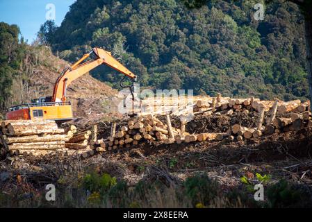 Industrielle Baumabholzung – Neuseeland Stockfoto