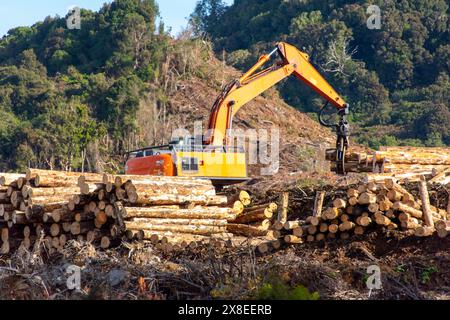 Industrielle Baumabholzung – Neuseeland Stockfoto