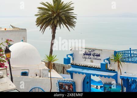 Sidi Bou Said, Tunesien. Mai 2024. Cafè des Délices oder Cafè Sidi Chabaane das berühmteste Café in Sidi Bou Said, einer der besten Orte, um Kaffee zu trinken, mit einem atemberaubenden Blick auf den Hafen und das Mittelmeer Tunesien. Quelle: SOPA Images Limited/Alamy Live News Stockfoto