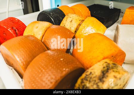 Ein Haufen Fertigkäse in der Käsefabrik. Käsemöbel, große Stücke von hellen Farben und Texturen. Hochwertige Fotos Stockfoto