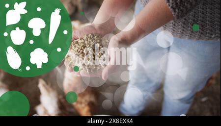 Bild von Gemüsesymbolen und Flecken über dem mittleren Teil von Frauen, die Hühner in der Geflügelhaltung füttern Stockfoto