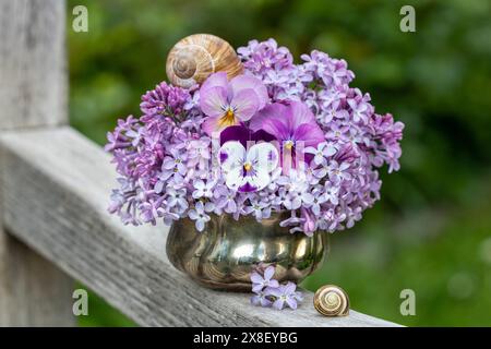 Romantisches Blumenarrangement mit violetten Bratschenblüten und Flieder Stockfoto