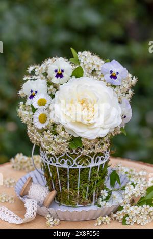 Blumenarrangement mit weißer englischer Rosenruhe, Bratschenblüten, bellis perennis und feuerdornblüten Stockfoto