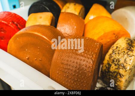 Nahaufnahme verschiedener Arten von Käserädern. Die Käseproduktion, die Herstellung von Hartkäse auf dem Bauernhof, die Reifkammer für Käseläder Stockfoto