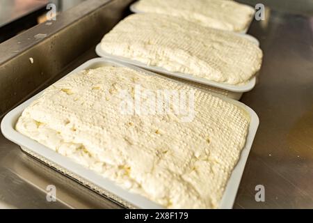 Käseproduktion in einer kleinen Käsefabrik. Gefüllte Formen für die Reifung von Ricotta, Mozzarella. Hochwertige Fotos Stockfoto