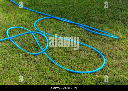 Blauer Gartenschlauch zur Bewässerung des Rasens im Garten Stockfoto