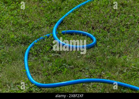 Blauer Gartenschlauch zur Bewässerung des Rasens im Garten Stockfoto