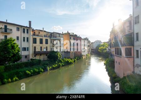 Nachmittagssonne über der mittelalterlichen Altstadt von Padua, Italien, mit dem Fluss Bacchiglione im Vordergrund zwischen alten Häusern und grünen Pflanzen Stockfoto