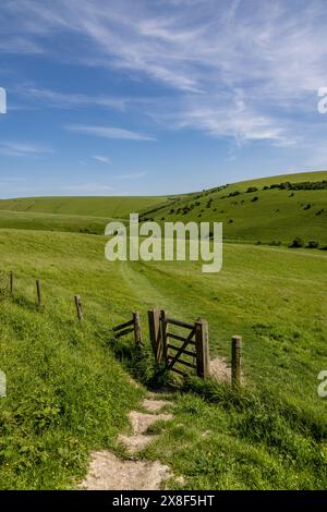 Eine ländliche Landschaft in South Downs am Mount Caburn bei Lewes, mit einem Tor und einem Fußweg, der über einen Hügel führt Stockfoto