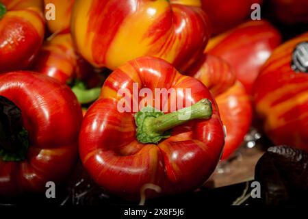 Lebendige, gestreifte Paprika zum Verkauf an einem Marktstand mit geringer Schärfentiefe Stockfoto