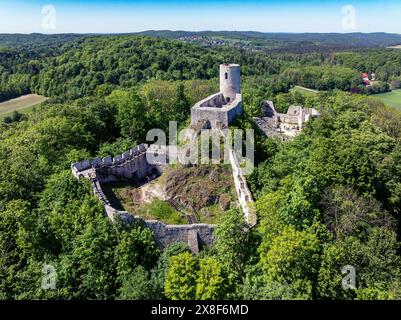 Ruinen der mittelalterlichen Burg in Smolen in Polen auf dem felsigen Hügel, umgeben von einem dichten Wald Stockfoto